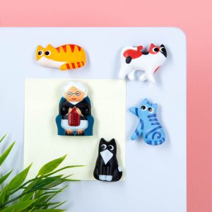 Kattenvrouwtje magneten (set van 5)