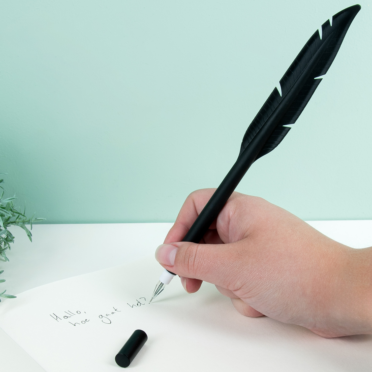 Veer Pen (Assorti) 1 Veer Pen (Assorti)