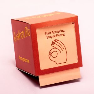 30 Day Challenge - Acceptatie